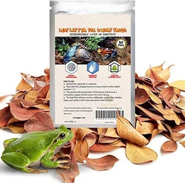 Mini Catappa Frog & Gecko Leaf Litter, Bioactive Substrate for Reptile Vivarium, 50 count