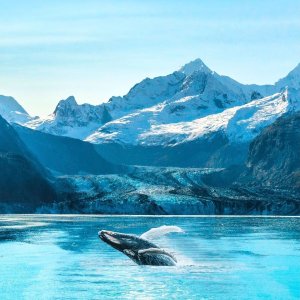 Norwegian Jewel 10-Night Alaska Cruise