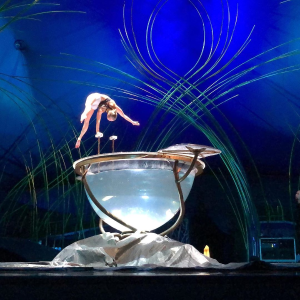 Las Vegas Cirque du Soleil Shows and More President's Day Sale