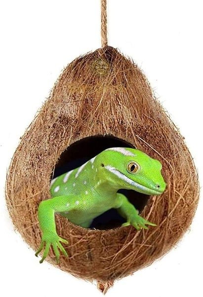 Crested & Leopard Gecko Coconut Hide, Humid Cave for Frog, Reptile & Amphibian