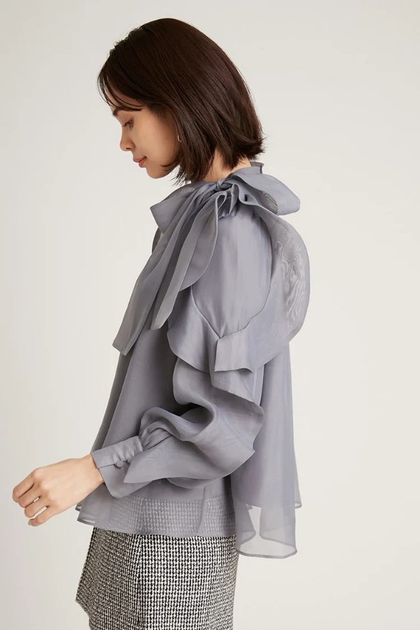 Sustainable Organza Ruffle See-Through Blouse