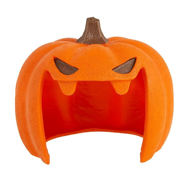 pumpkin petsmart