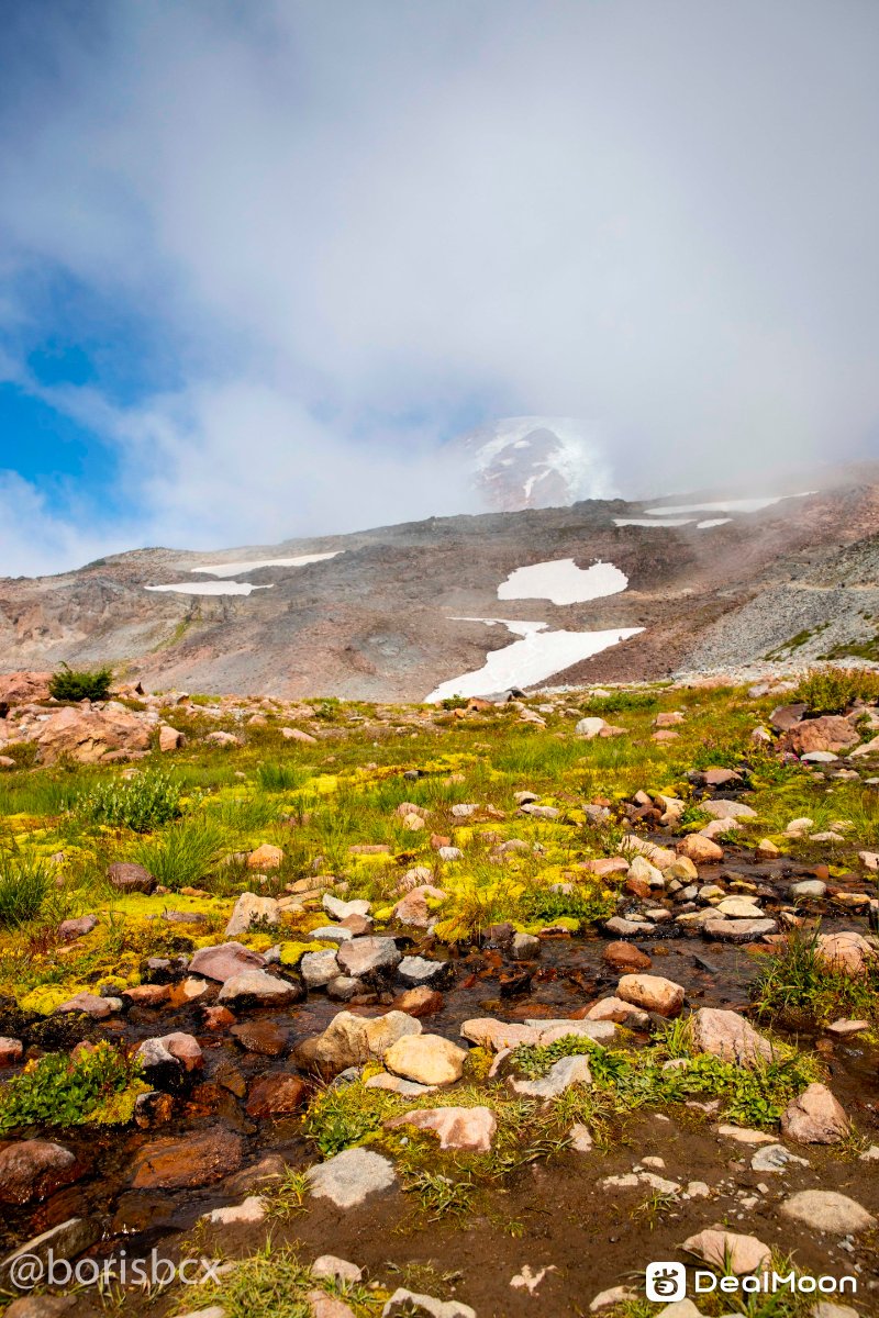 rainier_2.jpg
