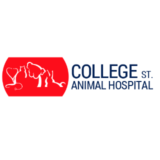 College Street Animal Hospital - 多伦多 - Toronto