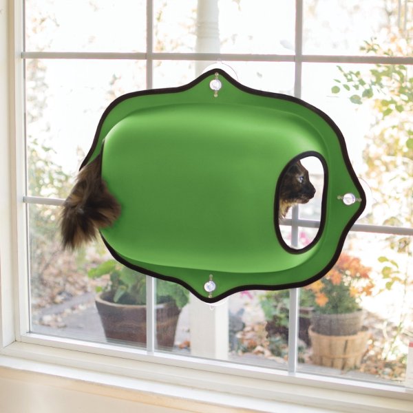 EZ Mount Bubble Pod Cat Window Perch, Green - Chewy.com