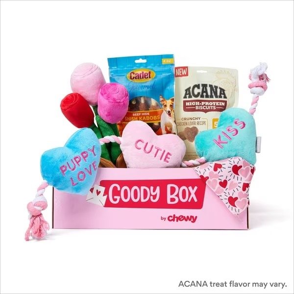 GOODY BOX Valentine's Dog Toys & Treats, Medium/Large - Chewy.com