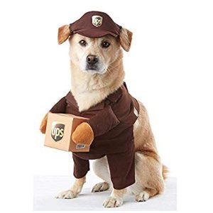 California Costume Collections PET20151 UPS Pal Dog Costume, Large