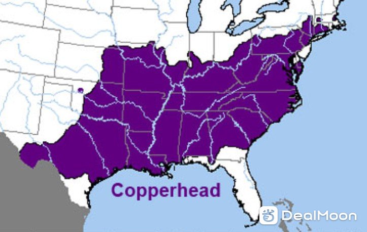 Copperhead 铜头蛇 美国分布图