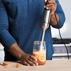Immersion Blender, Stainless Steel, 18 inches