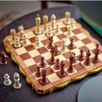 传统国际象棋 40719