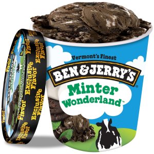 1pt Ben & Jerry's Minter Wonderland Ice Cream