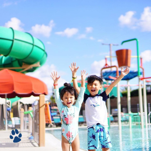 Great Wolf Lodge Waterpark Stay