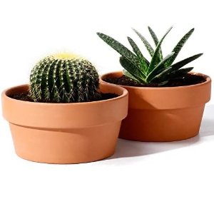 POTEY Terracotta Shallow Planters for Succulent