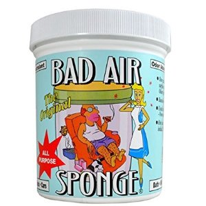 Bad Air Sponge 除臭海绵x2罐