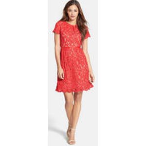 Adrianna Papell Women's Scalloped Lace Dress
