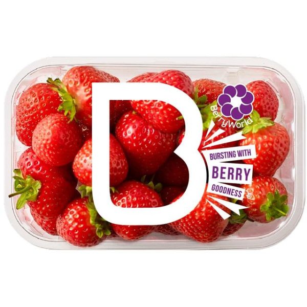 BerryWorld 农场新鲜草莓