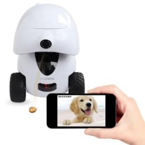 Dogness Smart iPet Robot