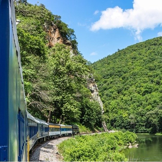 $42 & up – Spot Bald Eagles on a Scenic Train Ride in WV