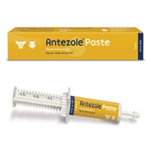 Antezole Paste 宠物驱虫药 可去除蛔虫、钩虫、鞭虫、和绦虫