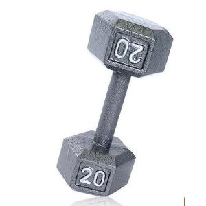CAP Barbell Cast Iron Dumbbell, 20 lbs, Single Weight