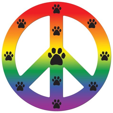 Imagine This Magnet Peace Dog Rainbow, Small | Petco