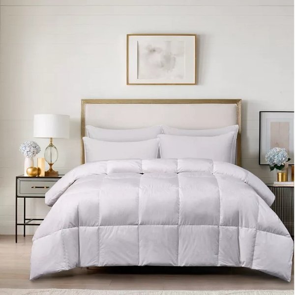 75%/25% White Goose Feather & Down All Season 240 Thread Count 100% Cotton Comforter, Full/Queen