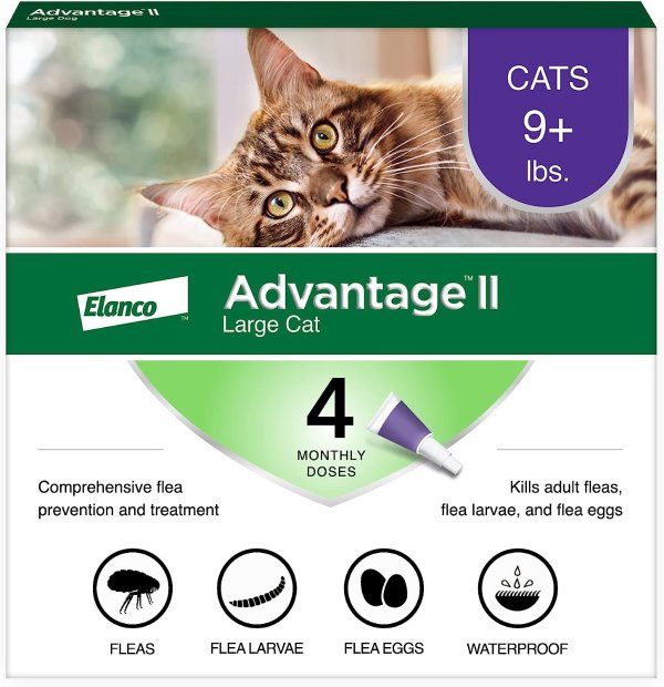 Flea Prevention and Treatment for Large Cats, Over 9 Pounds