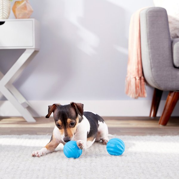 Fetch Ball No Squeak Dog Toy, Blue, Medium, 2-pack - Chewy.com