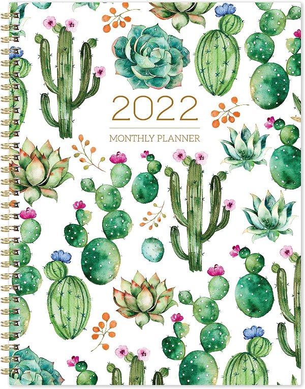 Frasukis 2022 Monthly Planner/Calendar