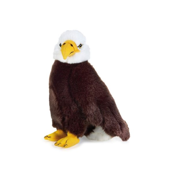 National Geographic Bald Eagle Plush – 10'' | shopDisney