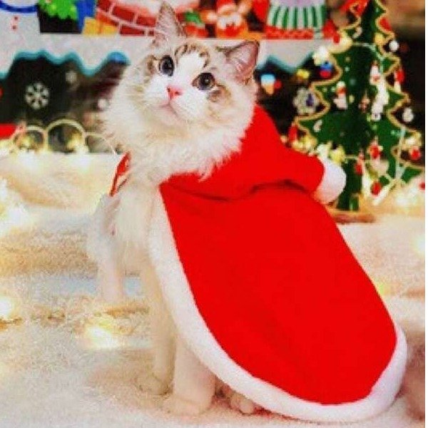 1pc Pet Christmas Costume, Hat & Red Cape Santa Claus Clothes For Dogs And Cats, Red