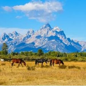 9-Day YellowStone Tour From Los Angeles