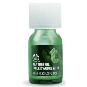 with Any $35 Purchase @ The Body Shop