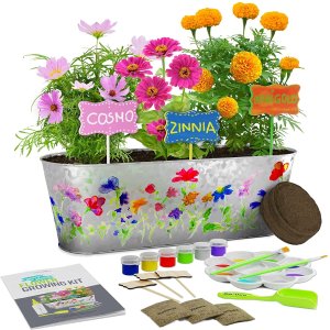 Dan&Darci Paint & Plant Flower Growing Kit for Kids