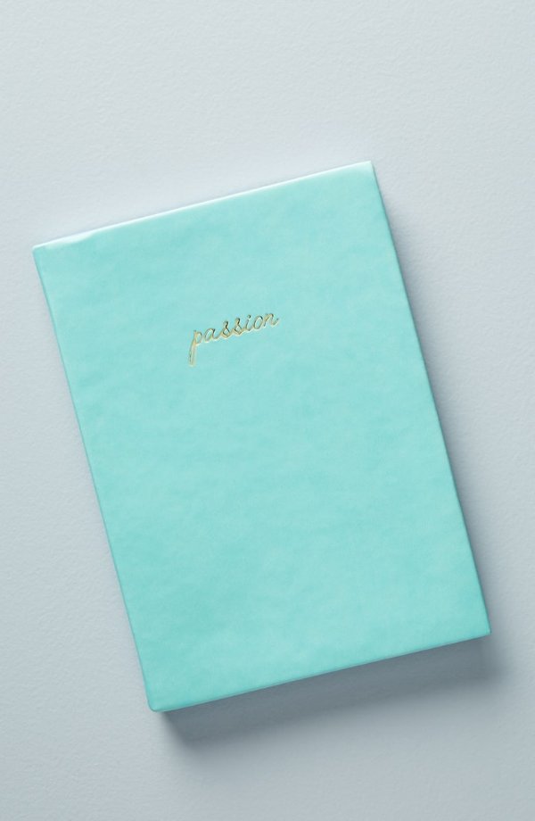 Passion & Plan Journal