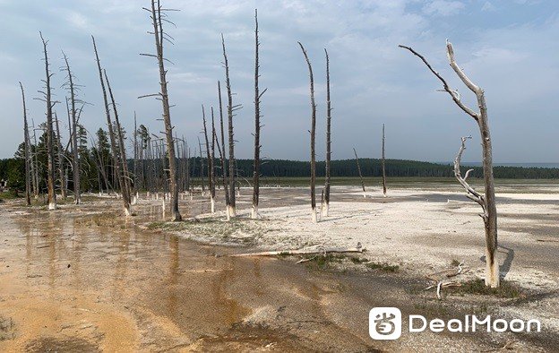 Yellowstone_167.jpg