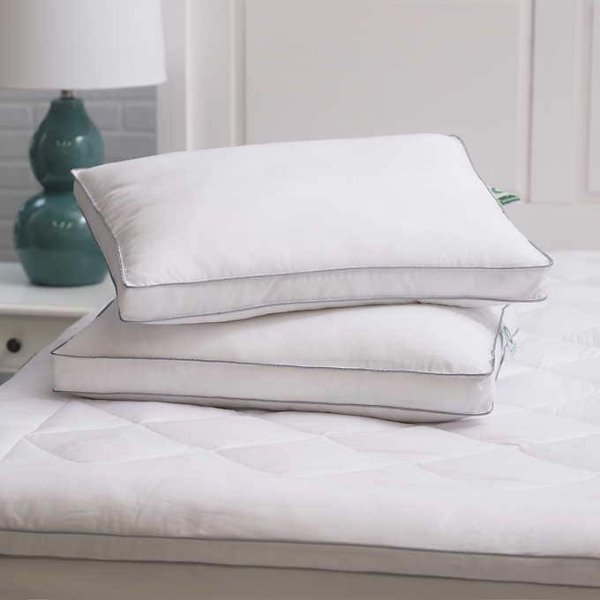Home MicronOne Anti-Allergen Pillow, 2-pack