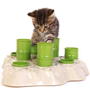 Pet Products @ Fab