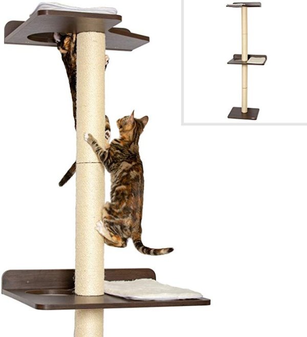 Ultimate Cat Climbing Tower & Activity Tree