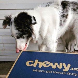 Additional Savings on First Autoship Order @ Chewy.com
