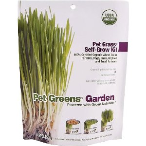 Pet Greens Self Grow Medley Pet Grass, 3-oz bag