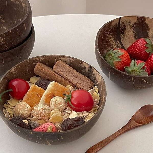 2pcs/set Creative Irregular Coconut Shell Bowl With 1 Spoon & Plant Print For Home Dessert