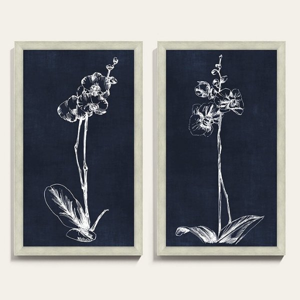 White Orchid Botanical Art Framed Prints Series