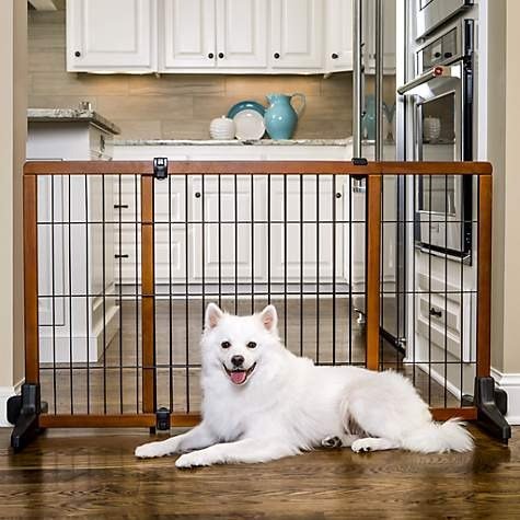 Freestanding Pet Gate, Large | Petco