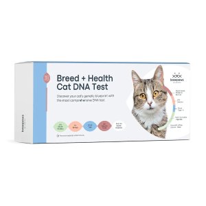 MEMDAYBreed + Health Cat DNA Test