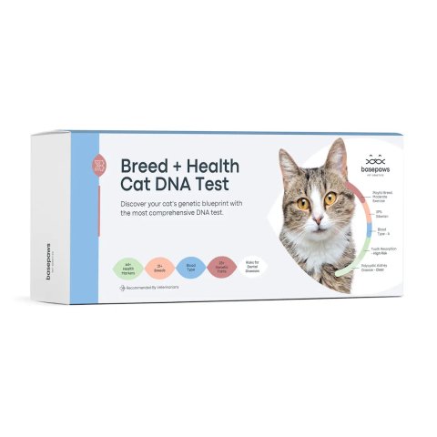 猫咪DNA+健康检测包