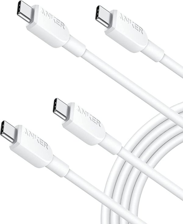 310 USB C to USB C Cable (6 ft 2 Pack)