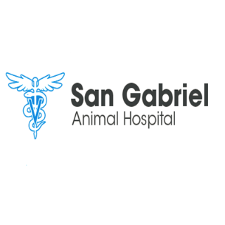 圣盖博动物医院 - SAN GABRIEL ANIMAL HOSPITAL, INC - 洛杉矶 - Monterey Park