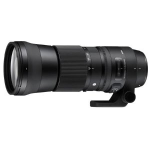 Sigma 150-600mm F5-6.3 DG OS HSM C Zoom Lens