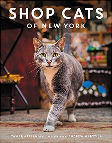 SHOP CATS OF NEW YORK